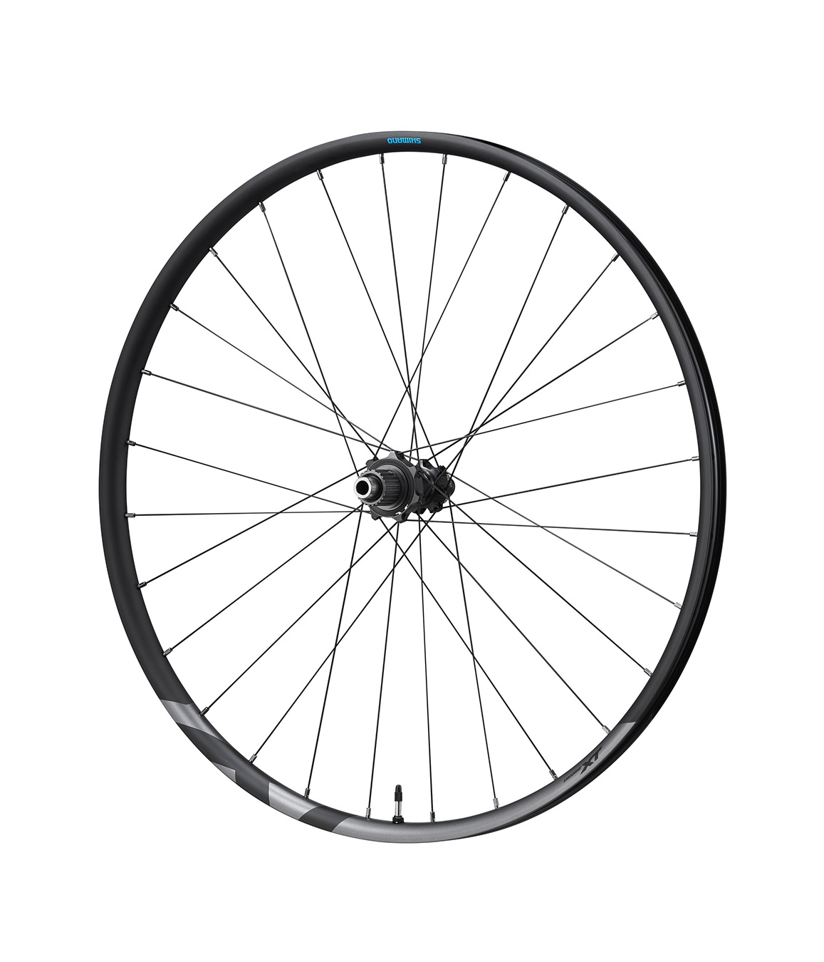 Bakhjul-XT-M8100-12.jpg Ett svart cykelhjul med tunna ekrar, ett centralt nav och en fälg. Hjulet är fotograferat mot en vanlig vit bakgrund och är inte fäst på en cykel.