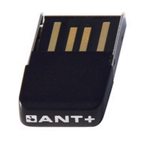 En närbild av en liten svart USB ANT+ stickadapter, med synliga guldkontakter och etiketten "ANT+" tryckt i vitt på sidan.