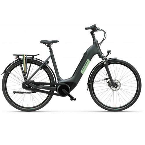 En svart Batavus Altura E-GO elcykel visas i profil mot en vit bakgrund. Cykeln är utrustad med pakethållare, framljus och skivbromsar. Detaljrik bild med jämnt ljus.