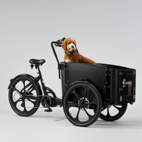 En svart Lastcykel Cargobike Delight med en brun hund i lastlådan, fotograferad i studiobelysning. Fokus på detaljer i designen och hundens närvaro.